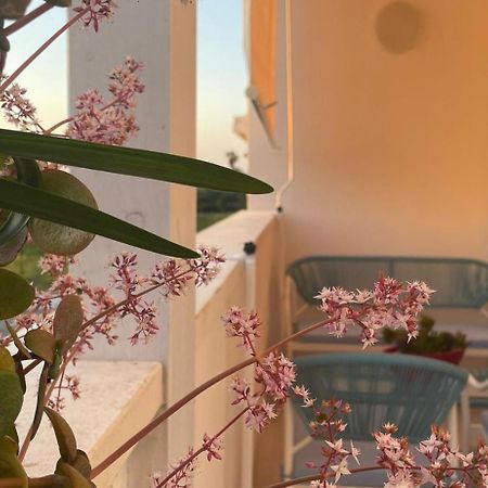 Seashell Guest House Torre Marino 外观 照片